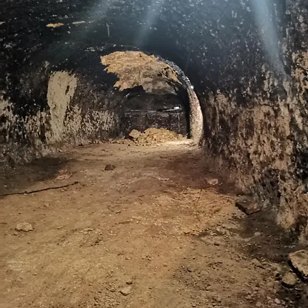 в центре ужгорода скала Hostel