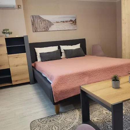 в центре ужгорода скала Uschhorod