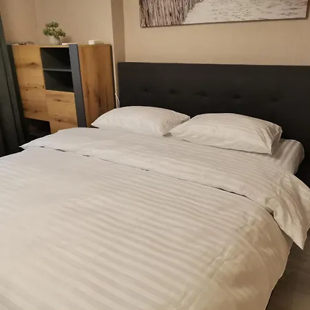 в центре ужгорода скала