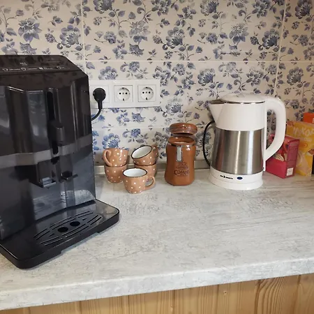 в центре ужгорода скала * Uschhorod