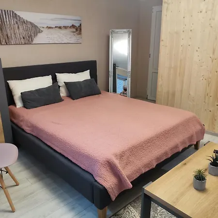 в центре ужгорода скала Uschhorod