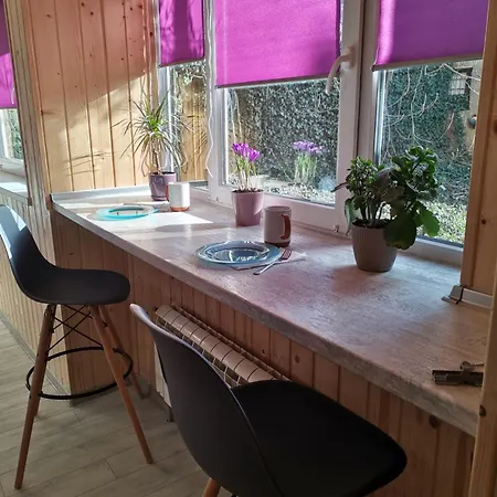 в центре ужгорода скала Hostel *