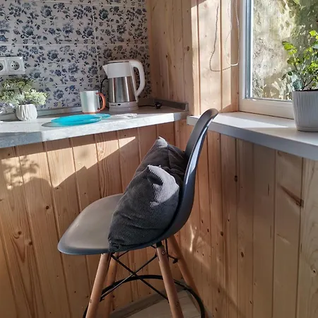 в центре ужгорода скала * Užhorod