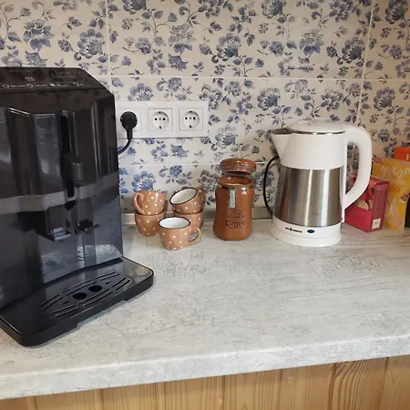 в центре ужгорода скала * Užhorod