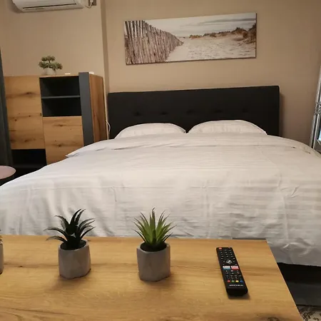 в центре ужгорода скала Hostel *