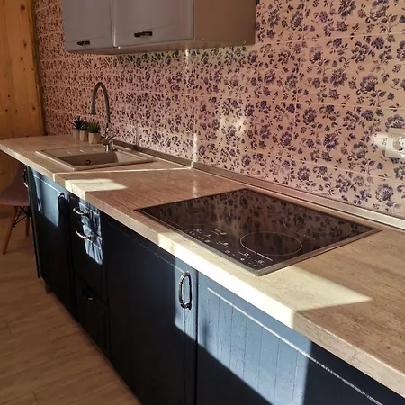 в центре ужгорода скала Hostel