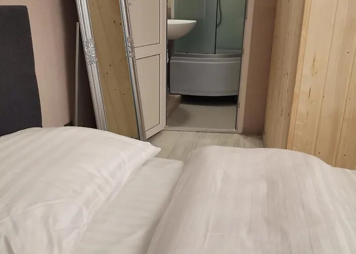 в центре ужгорода скала Apartment Uzhhorod