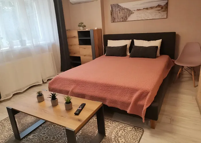 в центре ужгорода скала Apartment