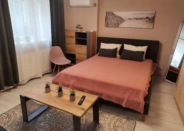 Apartment в центре ужгорода скала Uzhhorod