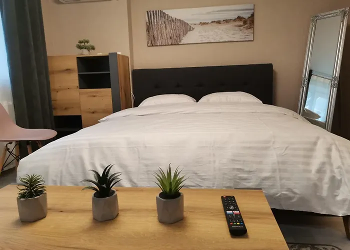 в центре ужгорода скала Apartment *