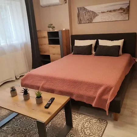 в центре ужгорода скала Apartamento
