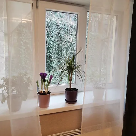 Apartamento в центре ужгорода скала *